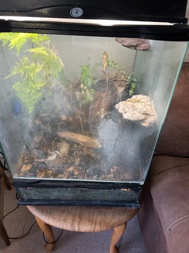 Customer photo