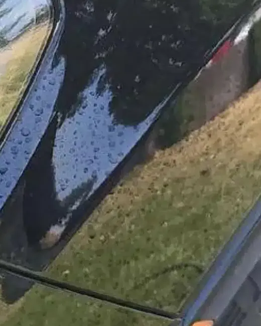 Before: Black car paint before and after Dissolve X2
